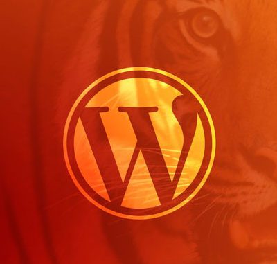 WordPress Developer Unlocking Power With Code