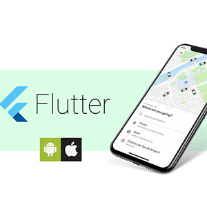 Build UBER Clone App Using Flutter and Firebase (2020)