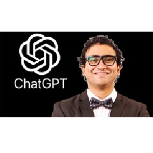 ChatGPT 4 for Financial Professionals