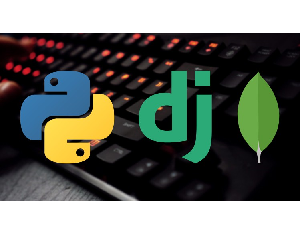 Complete Web development with Python, Django and MongoDB