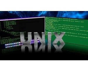 Essential Unix Skills for Developers