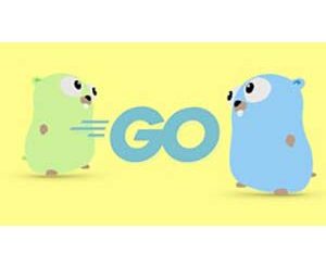 Go (Golang) The Complete Bootcamp