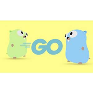 Go (Golang) The Complete Bootcamp