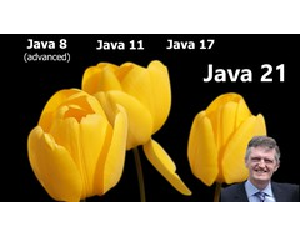 Java 21, Java 17, Java 11 and Advanced Java 8