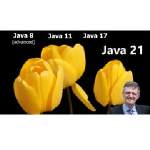 Java 21, Java 17, Java 11 and Advanced Java 8