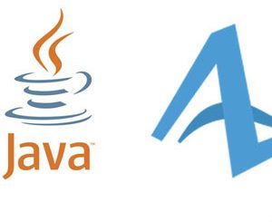 Java for AnyLogic