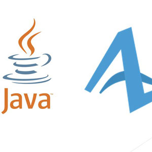 Java for AnyLogic