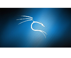 KALI Linux Complete Course: Hacking with Kali Linux