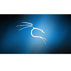 KALI Linux Complete Course: Hacking with Kali Linux