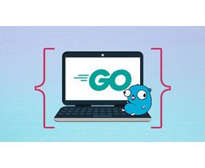 Learn Go for Beginners Crash Course (Golang)