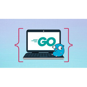 Learn Go for Beginners Crash Course (Golang)