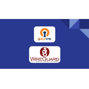 Learn OpenVPN and Wireguard