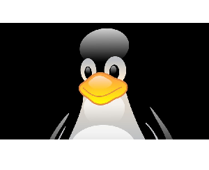 Linux Administration 1