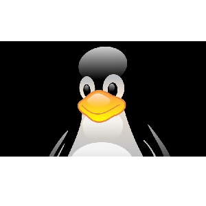 Linux Administration 1