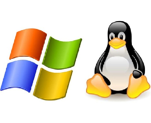 Linux Commands and Windows Powershell Commands in same time