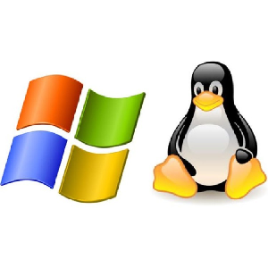 Linux Commands and Windows Powershell Commands in same time