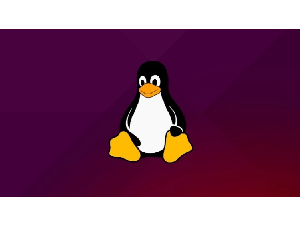 Linux Network Administration and Services Deployment