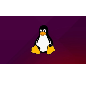 Linux Network Administration and Services Deployment