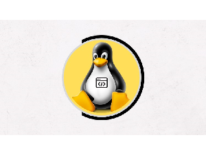 Linux Shell Scripting Beginner Course [2024]