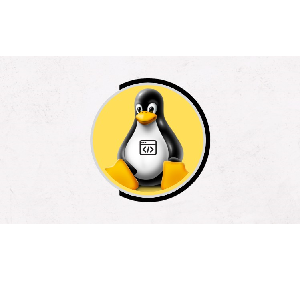 Linux Shell Scripting Beginner Course [2024]