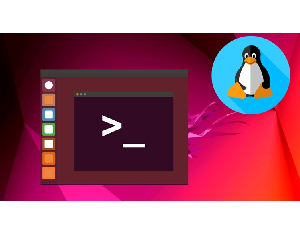 Linux Tutorial - Master The Command Line