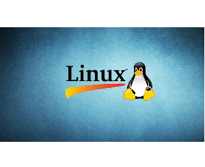 Linux administrator commands: Practical sessions