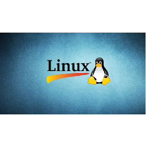 Linux administrator commands: Practical sessions