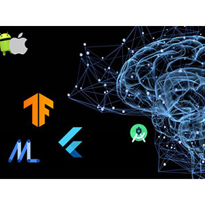 Machine Learning use in Flutter The Complete Guide - Flutter