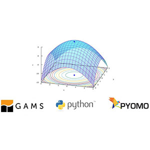 Mathematical Optimization with GAMS and Pyomo (Python)