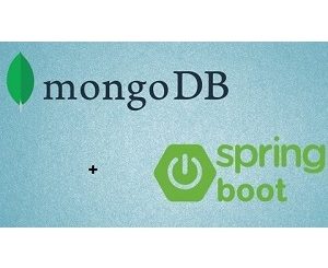 MongoDB with Java Spring Boot