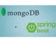 MongoDB with Java Spring Boot