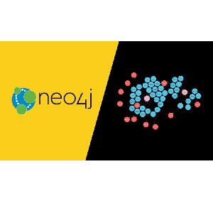 Neo4J Cypher By Examples: Master Neo4j Programming Quickly