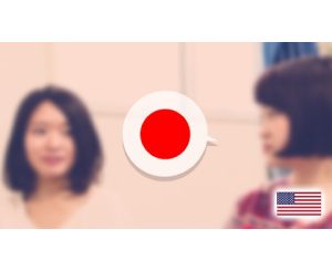 Online Japanese N2 Course(All 10 lessons)