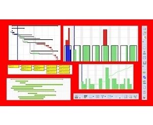 Planning & Control with Oracle Primavera P6 PPM Professional