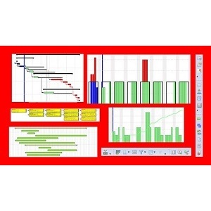 Planning & Control with Oracle Primavera P6 PPM Professional