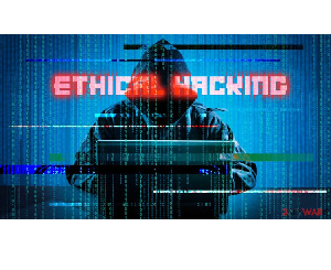 Practical Ethical Hacking Using Python: Beginner to Advanced