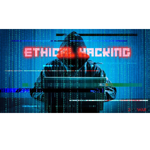 Practical Ethical Hacking Using Python: Beginner to Advanced