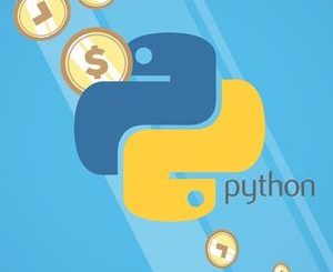 Python The Practical Guide