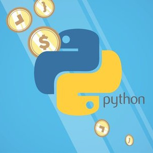 Python The Practical Guide