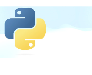 Python for Beginners: A Guide to Master Python Fundamentals