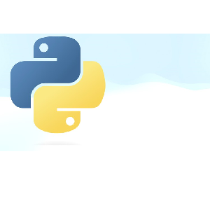 Python for Beginners: A Guide to Master Python Fundamentals