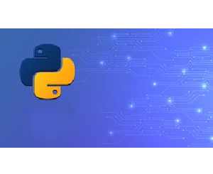 Download Udemy - Python for Beginners to Experts: A Complete Course 2024-1