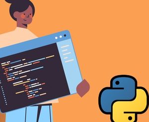 Python for Beginners with Examples