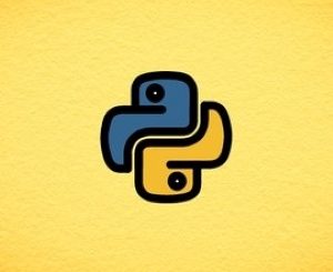 Python on the Backend