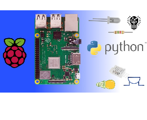 Raspberry Pi Mastery 2024: Programming Electronics and IoT