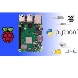 Raspberry Pi Mastery 2024: Programming Electronics and IoT