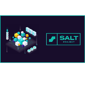 SaltStack for the Absolute Beginners - Practical DevOps