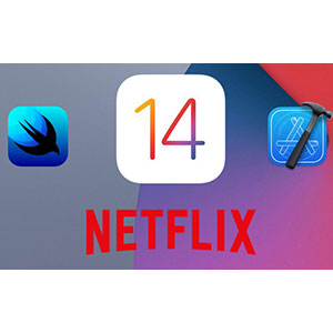 SwiftUI 2 - Build Netflix Clone - SwiftUI Best Practices