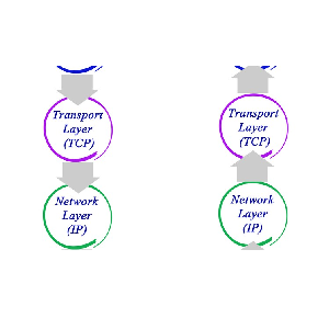 TCP/IP Networking Deep Dive