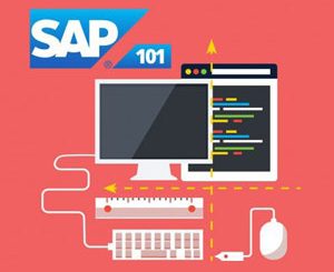 The Complete SAP S/4HANA Bootcamp 2023